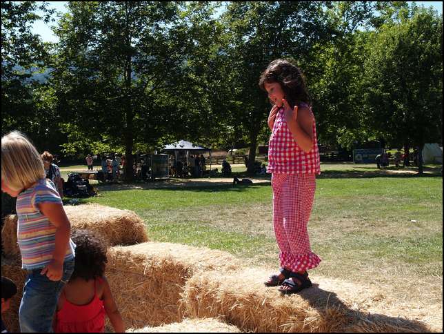 Time for another trip through the hay bale maze
