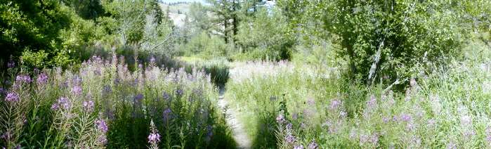 2nd day to hs hz_DCE