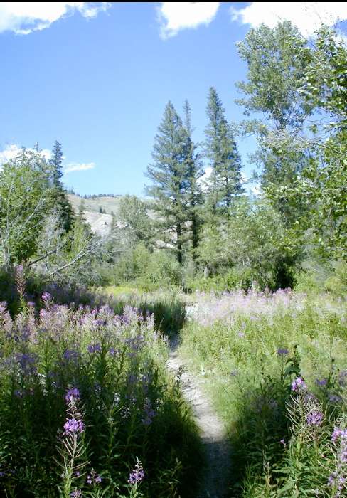 2nd day to hs vr_DCE