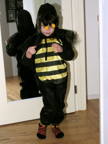 I'm going to be a bee this Halloween!