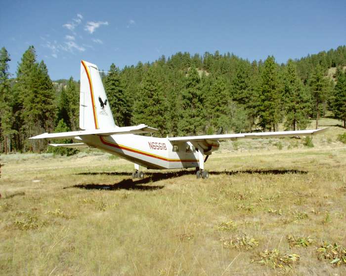 P8030520_DCE