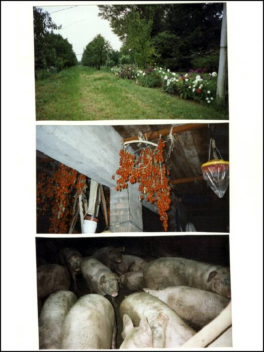 Page-21