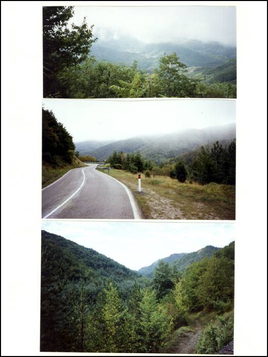 Page-31