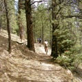 [Click to enlarge image]