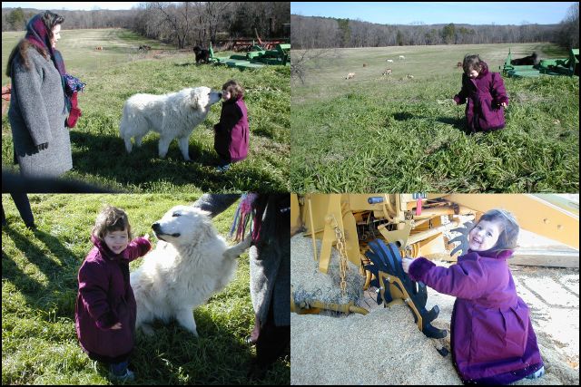 It was fun visiting Great Uncle JB's farm in Arkansas