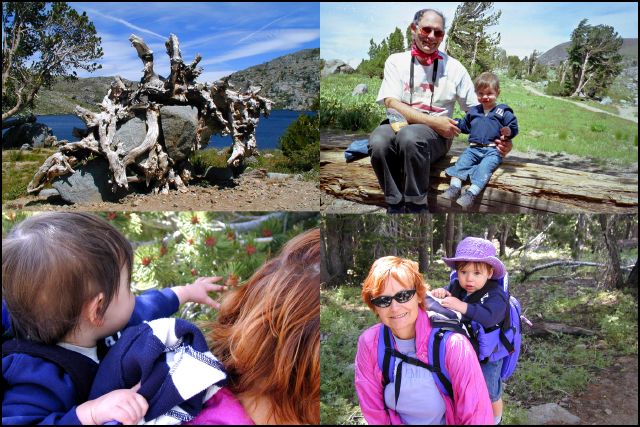 A great hike was had by all.