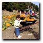 [Click to enlarge image]