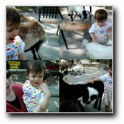 [Click to enlarge image]