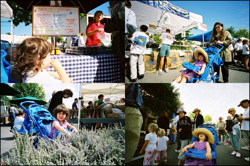 Sunday mornings at the Menlo Park Farmers Market