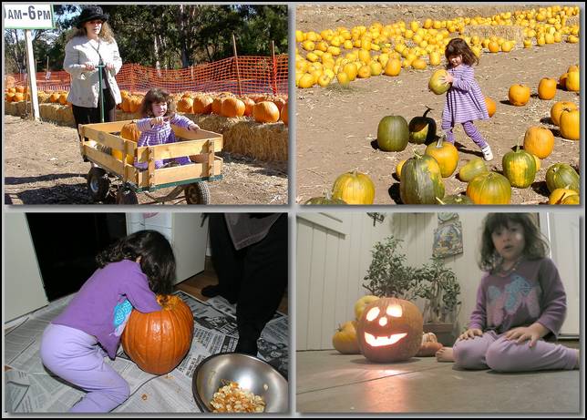 Picking and carving a pumkin for Halloween.