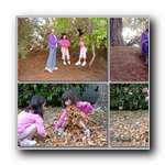 [Click to enlarge image]