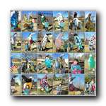 [Click to enlarge image]