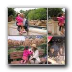 [Click to enlarge image]