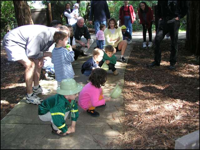 Here we are in the redwood grove pretending to be trees -- we start out small