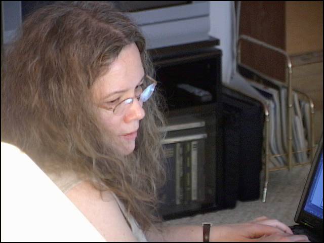 Mommy is working away -- plugged in to the Schlow's DSL line!