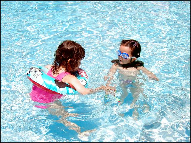 Discussing the fine points with Portia