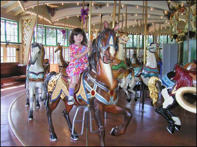 Riding the Carousel