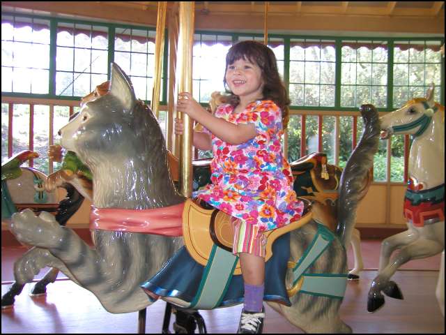 Then I'll ride the cat