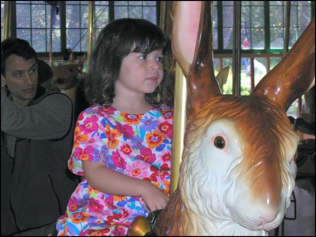 Ridding the rabbit is fun