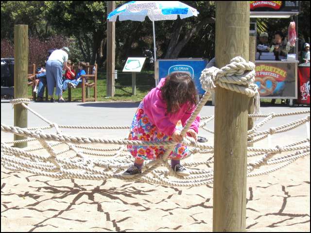 I can climb up the web
