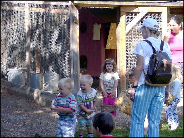 Gathering the chicken eggs