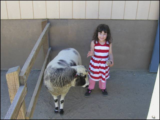 The S.F. Children's Zoo is fun!