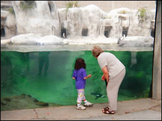 Wow, look at all those penguins