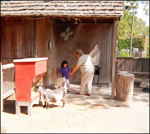 Its fun to feed the animals