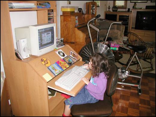 Playing games on the computer is fun