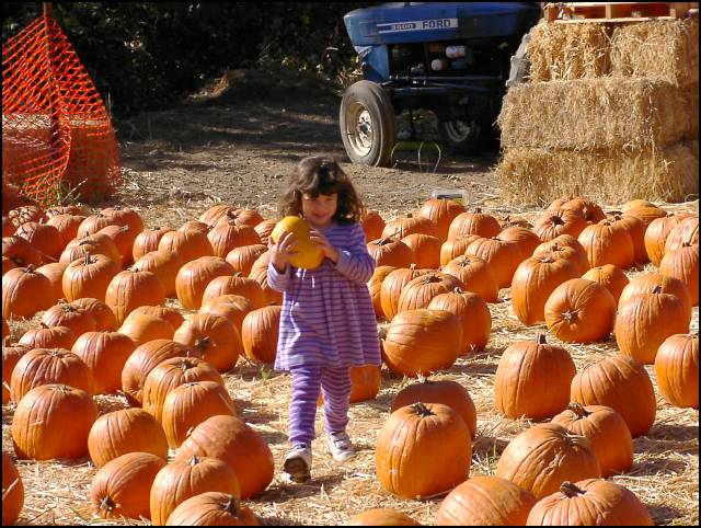 This is my favorite pumpkin