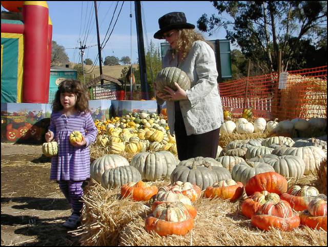 Let's put these pumpkins in our cart