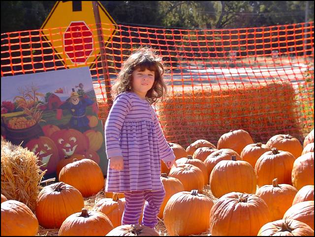How about this big pumpkin