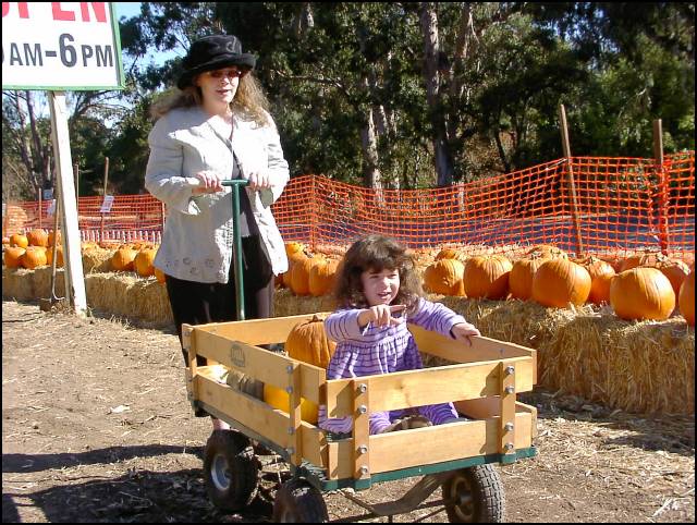 Here we go -- let's get more pumpkins!