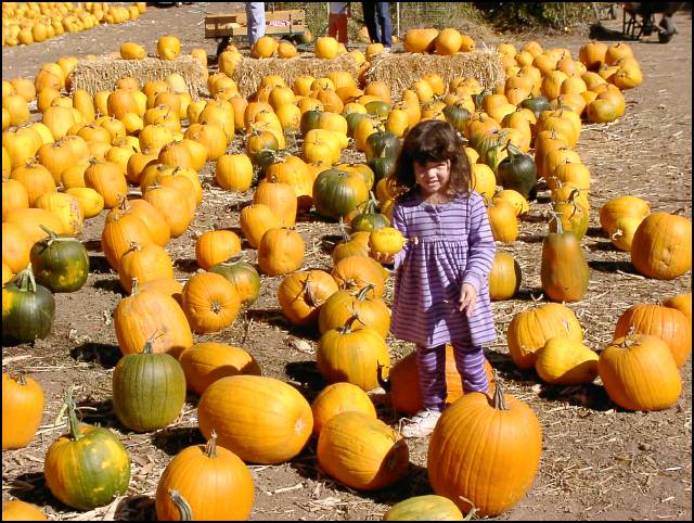 Let's get this small pumpkin!