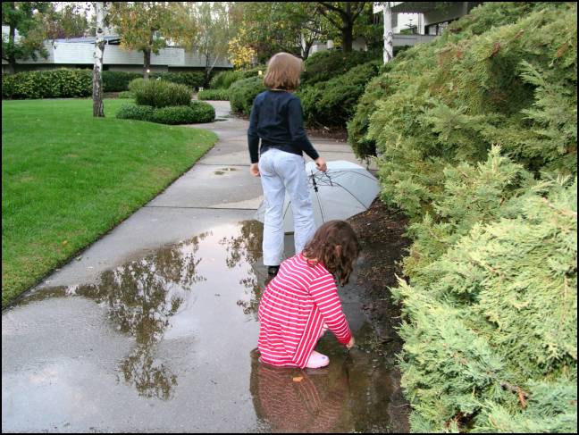 Nope back to fishing in the puddles.