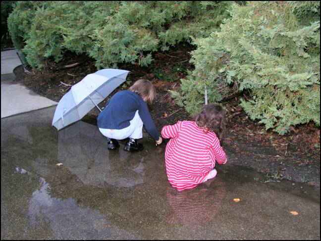 Back to fishing in the puddles,