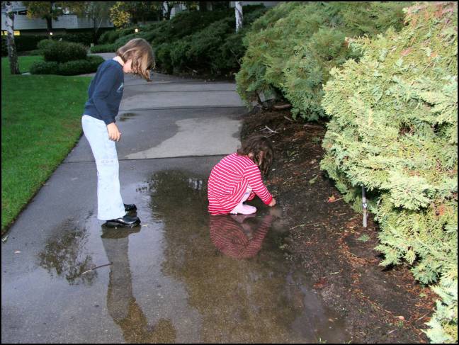Back to fishing in the puddles.