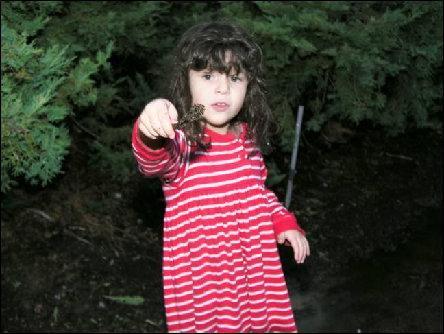 Look at all the fish I caught in the puddles!