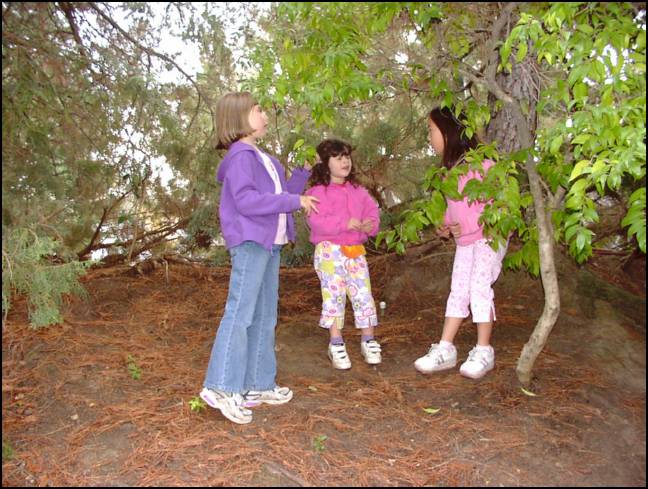 Let's play follow the leader