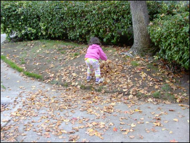 Make a big pile of leaves