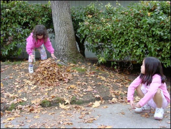 Sydney is determine to make the biggest pile of leaves ever!
