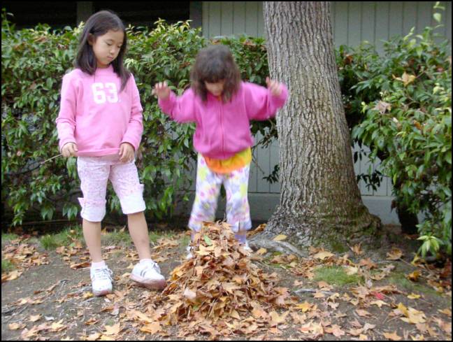 Time to jump into the pile of leaves