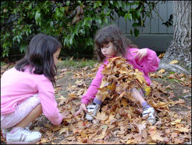 Thank you Joann for helping to cover me with leaves