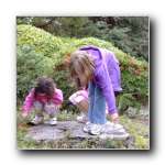 [Click to enlarge image]