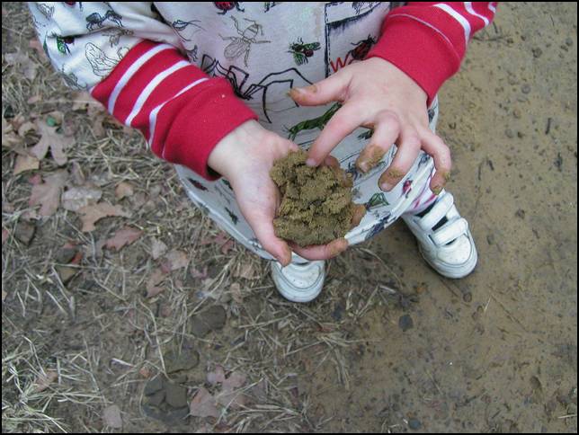 Look at the prize I found on the hike