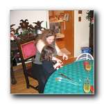 [Click to enlarge image]