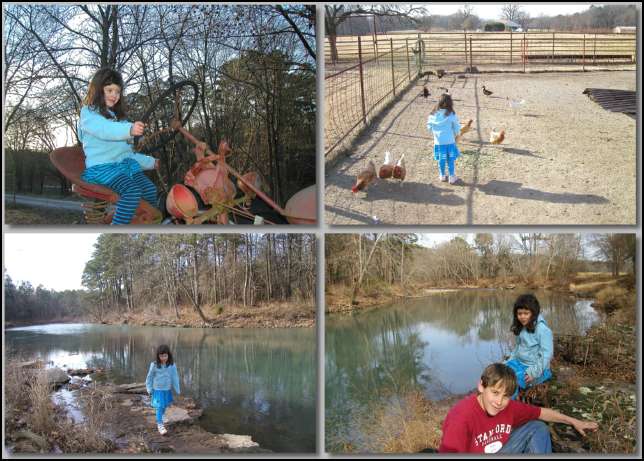 Two days at Great Uncle JB's and Great Aunt Joyce's farm in ARkansas.