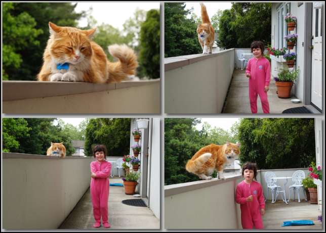 An Easter morning visit with Max the cat.