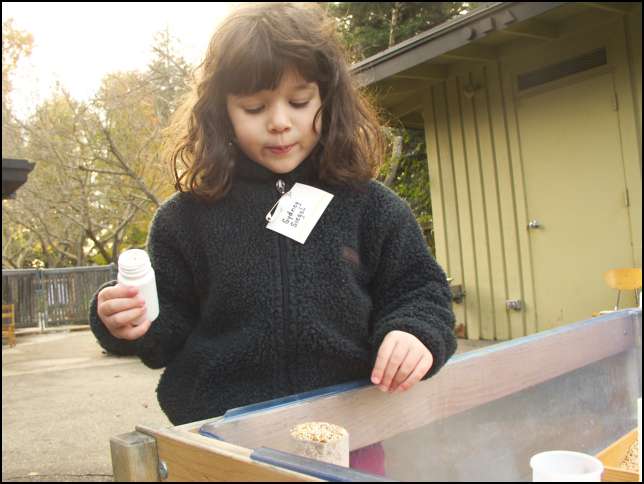 Pooring seeds from one cup to another