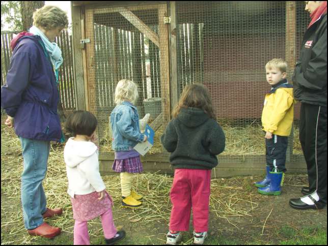 Checking out the chickens -- Penny and Blackie